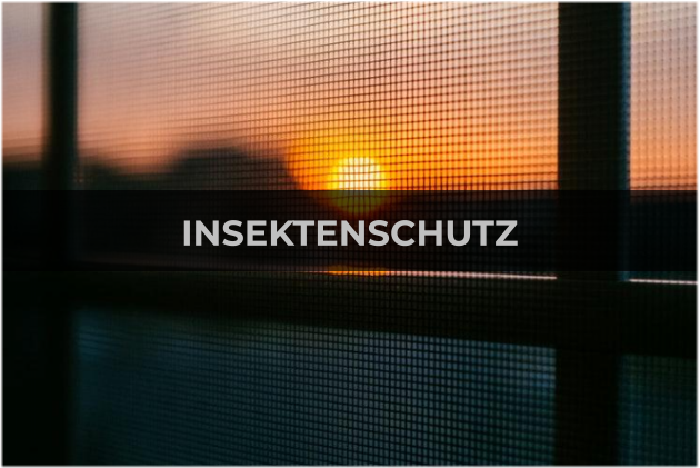INSEKTENSCHUTZ